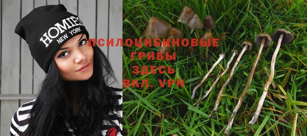 скорость Алексин